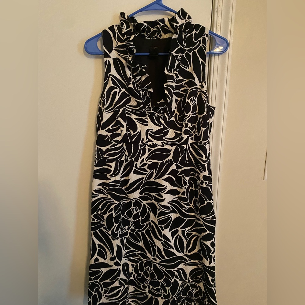 Ann Taylor Black and White Floral Sleeveless Dress